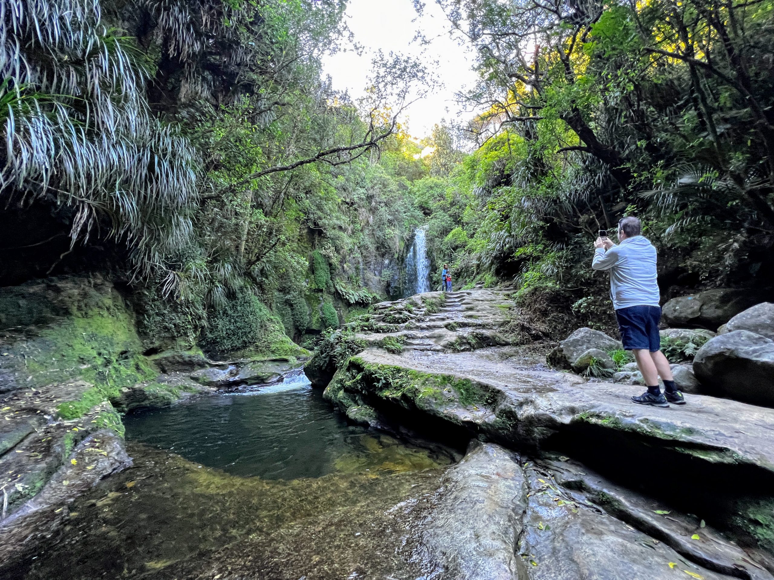 New Zealand - Kaiate Falls